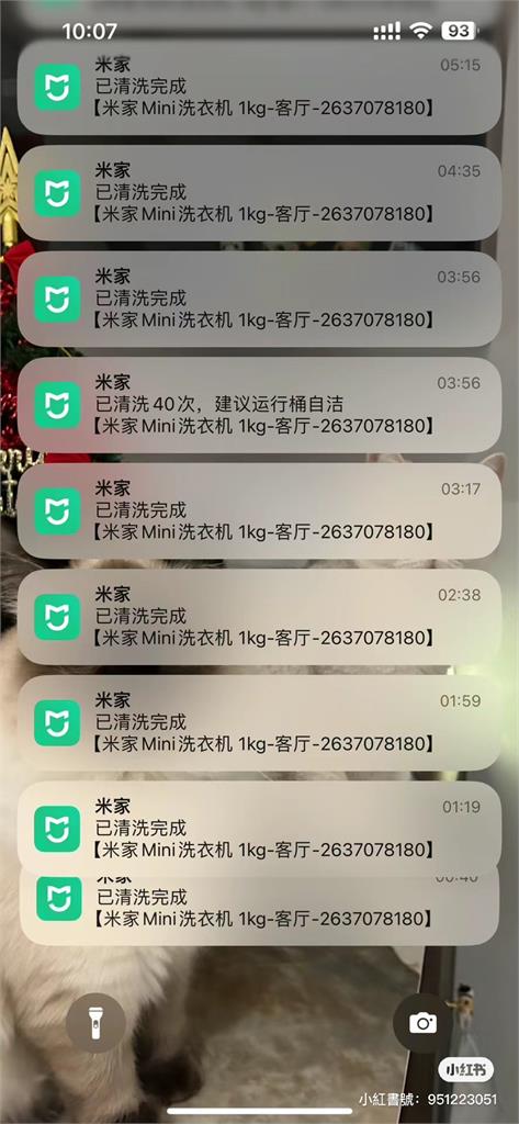 肉球不乖！貓咪半夜瘋狂洗衣…機器潰堤通知主人「已清洗40次」抓包畫面曝