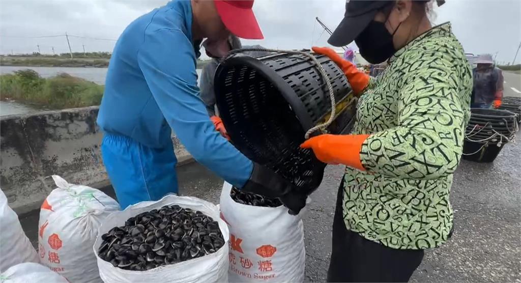 雲林箔子寮漁港颳強風 漁民加綁繩索捆牢膠筏