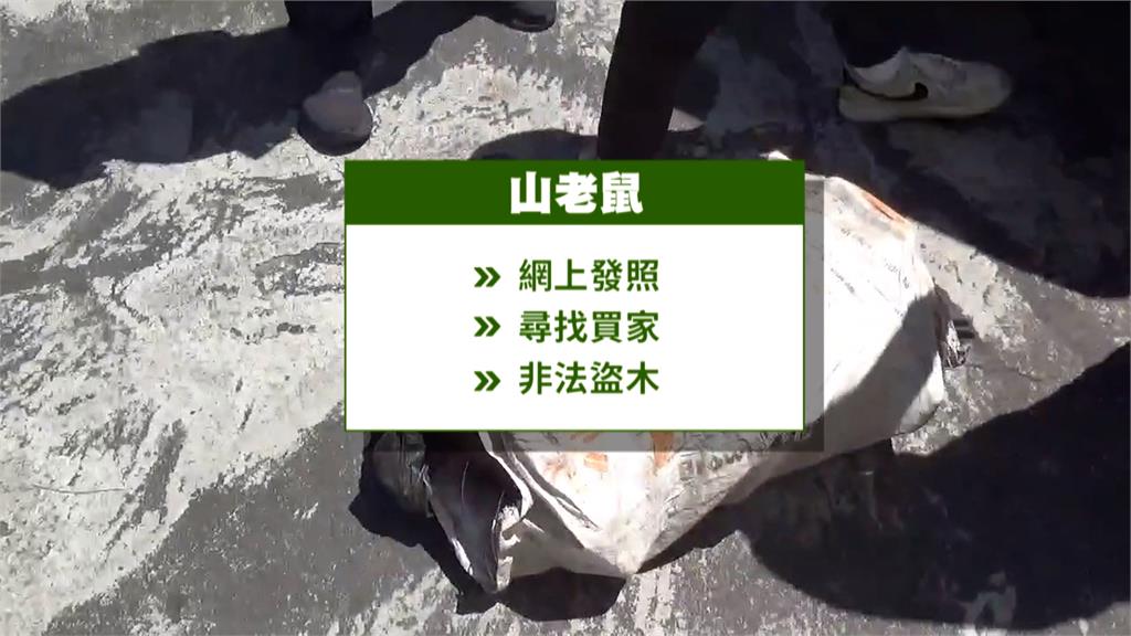 「山老鼠」集團覆滅！　警路口神埋伏逮人