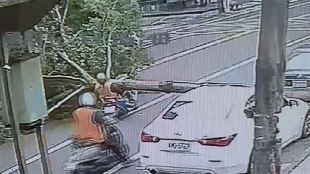 狂風!台南路樹倒塌壓傷騎士 竹北鷹架被吹垮砸中路過車輛