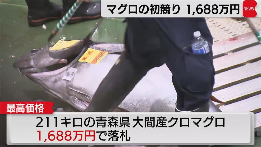 日本新年第一「鮪」開拍　壽司店407萬台幣得標