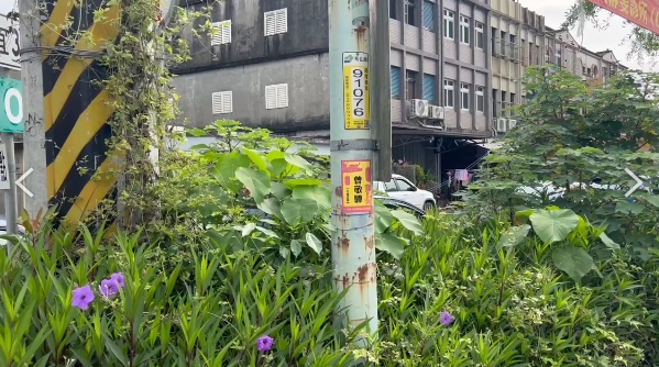 電桿認養驚見「曾敬驊」　曾家人揭真相！