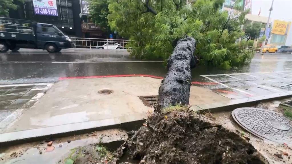 豪大雨狂炸高雄！市區多處路樹倒塌　輕軌列車遭砸中一度停駛