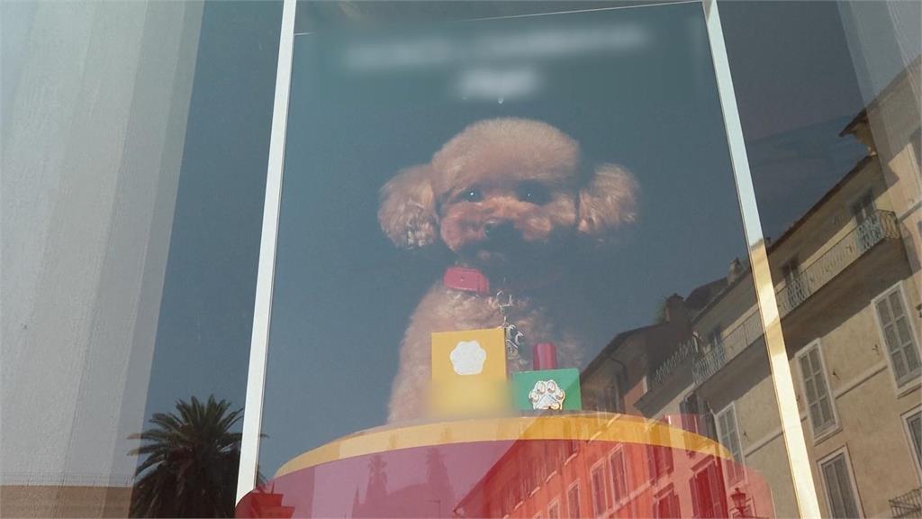 無極限?義大利品牌推「狗狗香水」 獸醫警告:影響健康