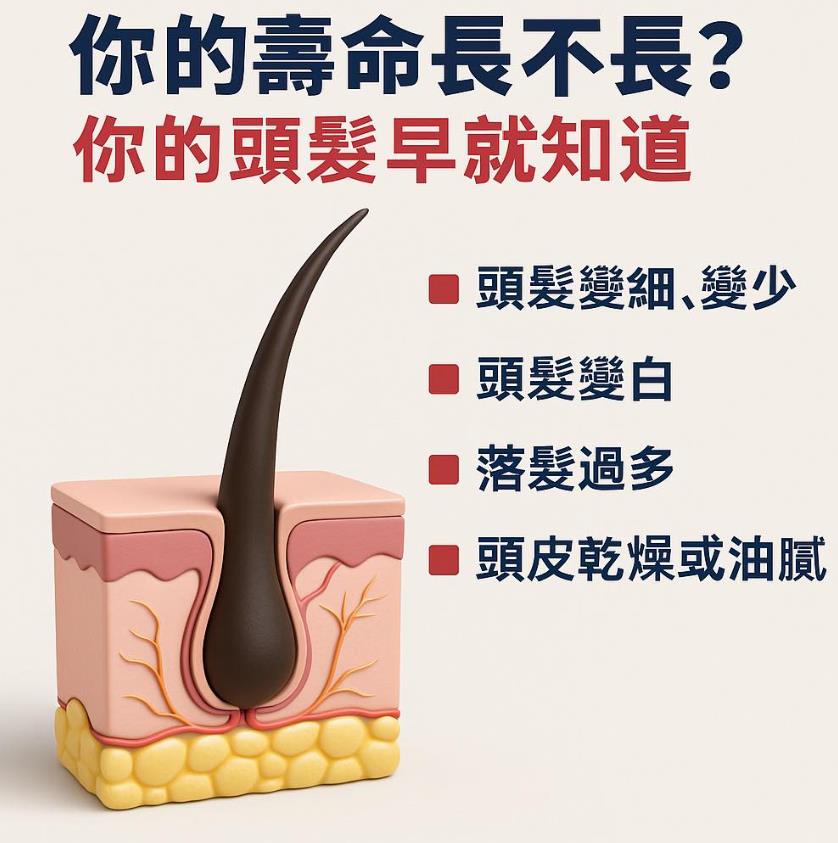 頭髮稀疏、白得早、長得慢?醫揭密:「五大徵兆」可能是你健康的預警