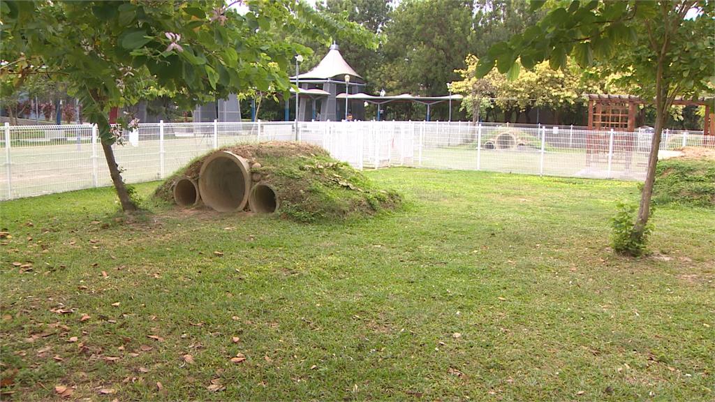 帶哈士奇闖「兔子公園」 飼主被勸阻反嗆:沒愛心
