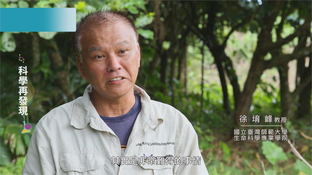 福爾摩沙的奧妙　發現蝴蝶之美