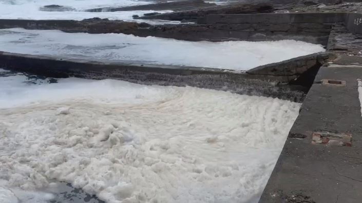 貢寮驚現「奶泡海」奇景恐影響生態 海洋專家解密「形成原因」