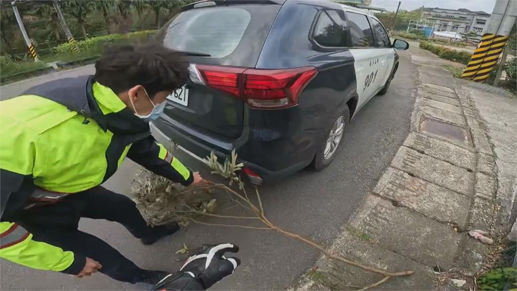 警車卡樹枝險波及他人！重機騎士急加速攔車提醒　暖心舉動感動網