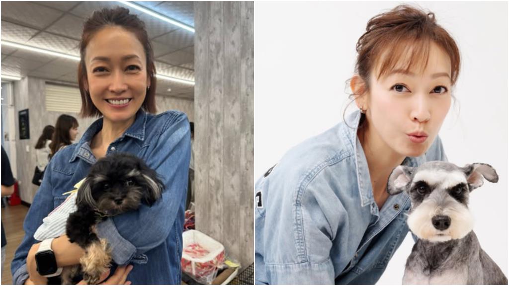 超人幫「不分顏色」感動女星喊:愛台灣!曝這群人進災區:守護無聲的生命