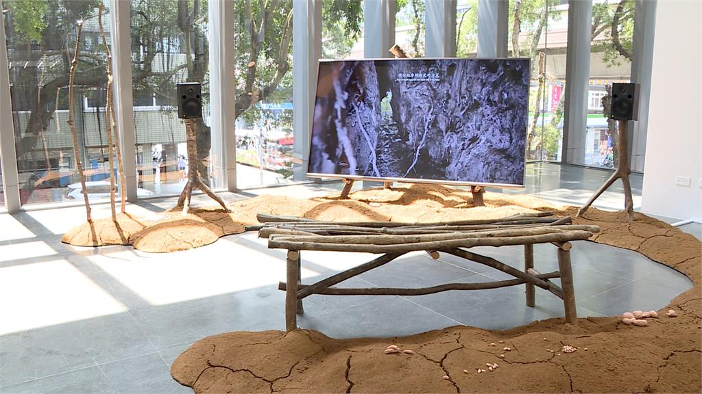 「酷共生特展」北師美術館登場 不同領域藝術傳達共生關係