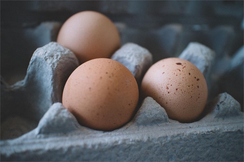新鮮蛋怎麼挑？專家揭「6方法」辨別　泡鹽水遇「這現象」恐已發臭