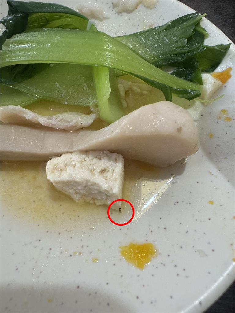 獨家／超噁畫面慎入！「錢都」菜盤、鍋中躺「一堆螞蟻」　網友批處理不妥：食慾全無