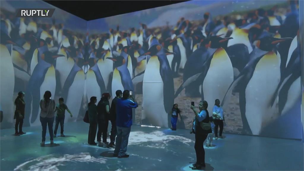 一同倘佯3D海底世界　墨西哥虛擬水族館盛大開幕
