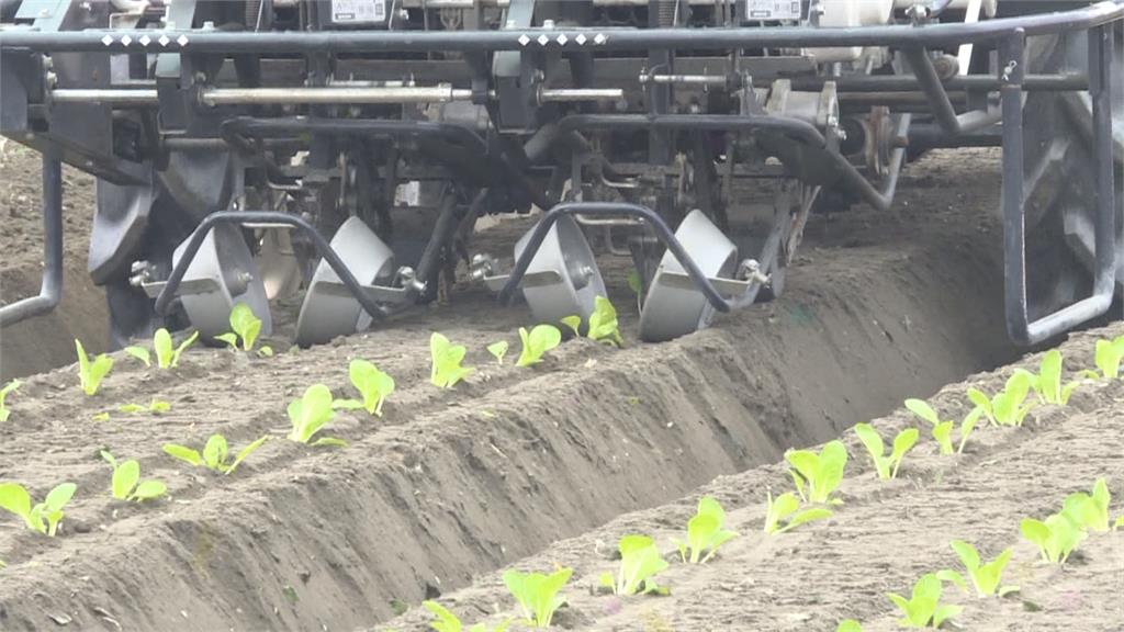 解決農務缺工潮 機械化種菜高效又能降低成本