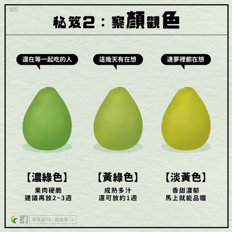這樣挑最好吃！農糧署一張圖詳解「3大挑柚子秘訣」：形狀像不倒翁最好
