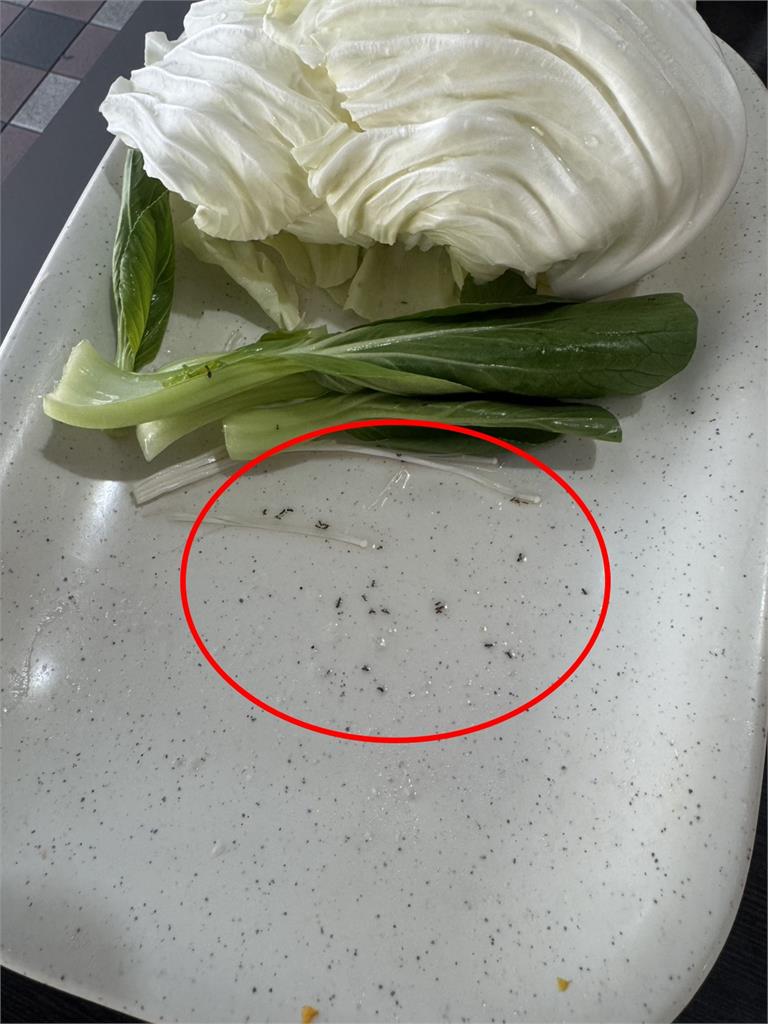 獨家／超噁畫面慎入！「錢都」菜盤、鍋中躺「一堆螞蟻」　網友批處理不妥：食慾全無