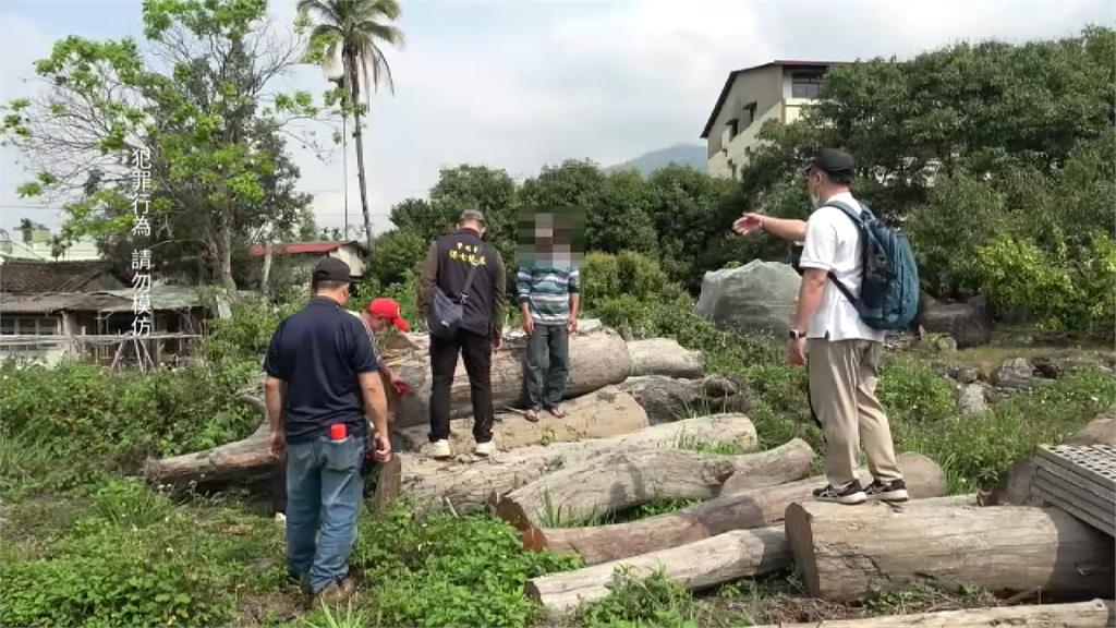 山老鼠「一條龍」盜伐林木 警查獲6萬公斤市價破千萬