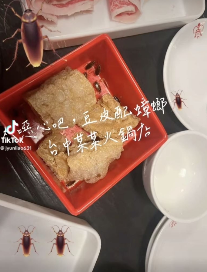 太噁…台中火鍋店豆皮「9隻小強竄出」!一查「多項衛生缺失」急停業