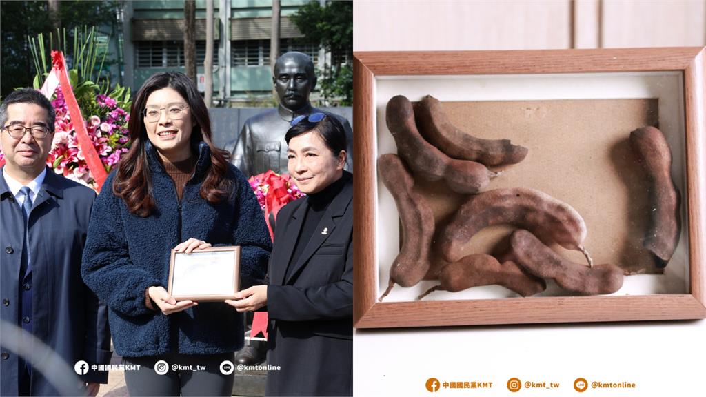 鄭麗文哽咽喊在南京「種下和平種子」!網挖「乾豆莢外型」酸爆:和平屎者
