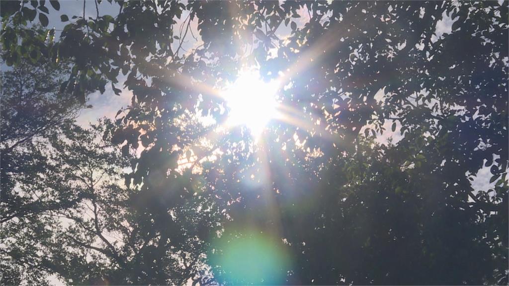 228連假「有感回溫」高溫飆30°C!下波變天時間曝「這區」雨勢最猛