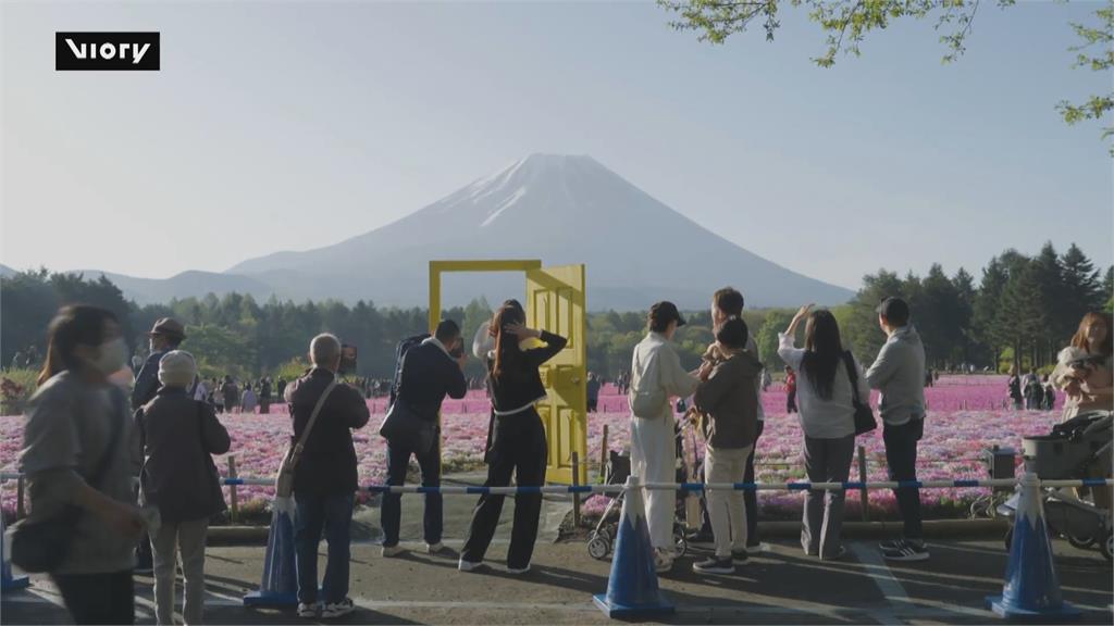 日本芝櫻祭登場! 富士山下50萬株芝櫻滿開
