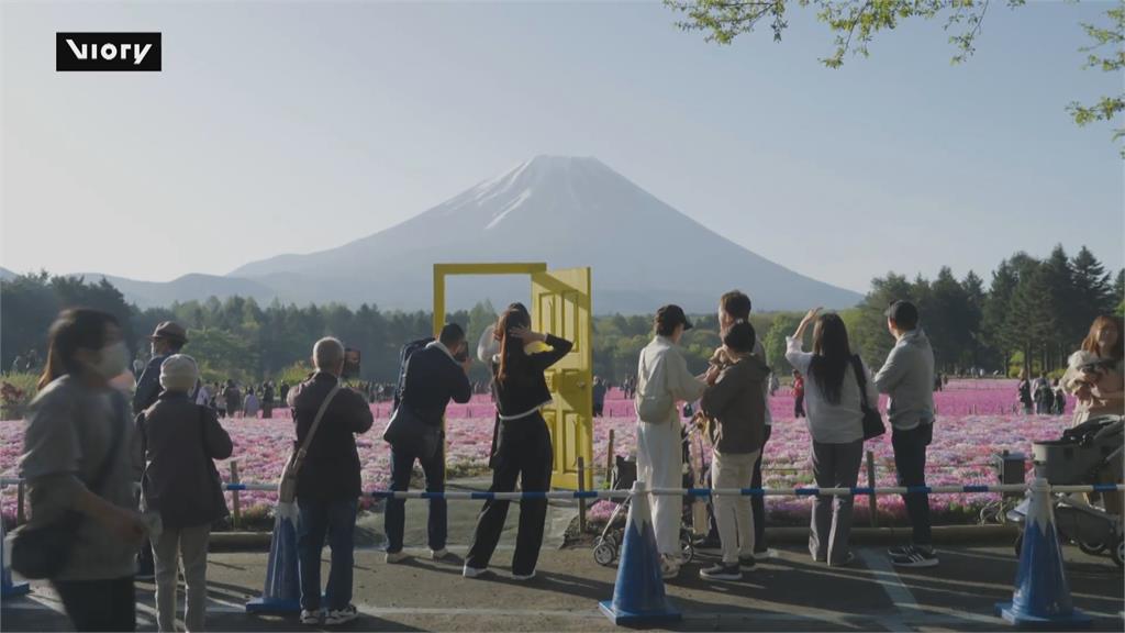 日本芝櫻祭登場！　富士山下50萬株芝櫻滿開