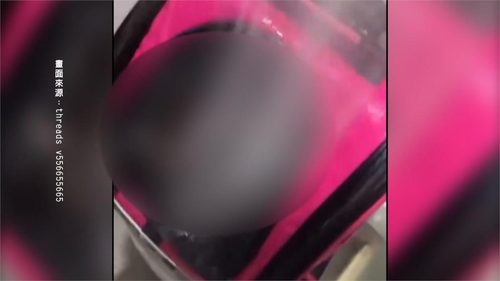 和女友吵架找貓洩憤! 桃園男虐貓遭肉搜 動保處:將裁處
