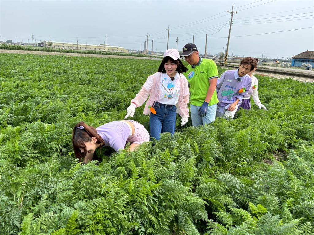 《綜藝新時代》胡蘿蔔職人駕駛700萬只載籃籃!氣得楊繡惠問「你老婆電話幾號」