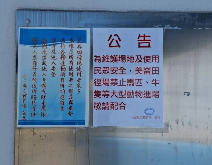 花蓮美崙田徑場運動遇到「馬」？　飼主遛馬復健惹議