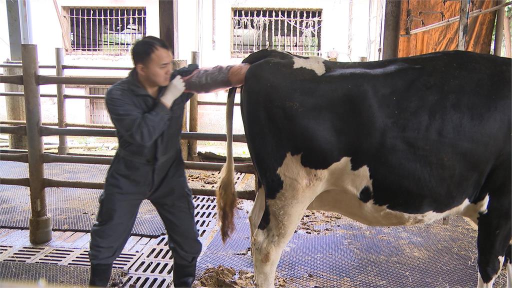 異言堂／毛孩夯「這類」獸醫竟喊缺：永遠補不滿 食安恐陷風險