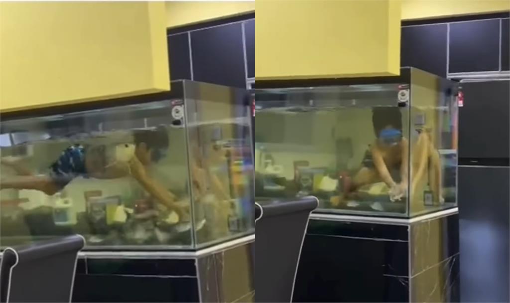 在家浮潛?男童「魚缸當泳池」跳入爽游泳…爸喊「順孩子的意」百萬人看傻