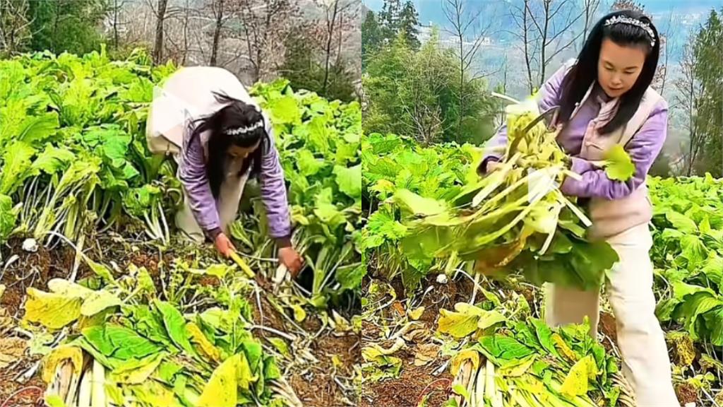 中配小微「遭遣返10個月」再吞鐵拳？「割菜餵豬」認了：被傷得體無完膚…