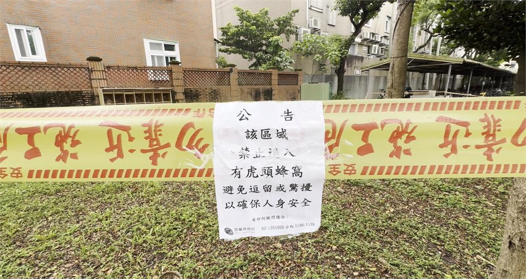 宜蘭某國中有籃球大蜂窩！　得過五天才摘？校方解釋了