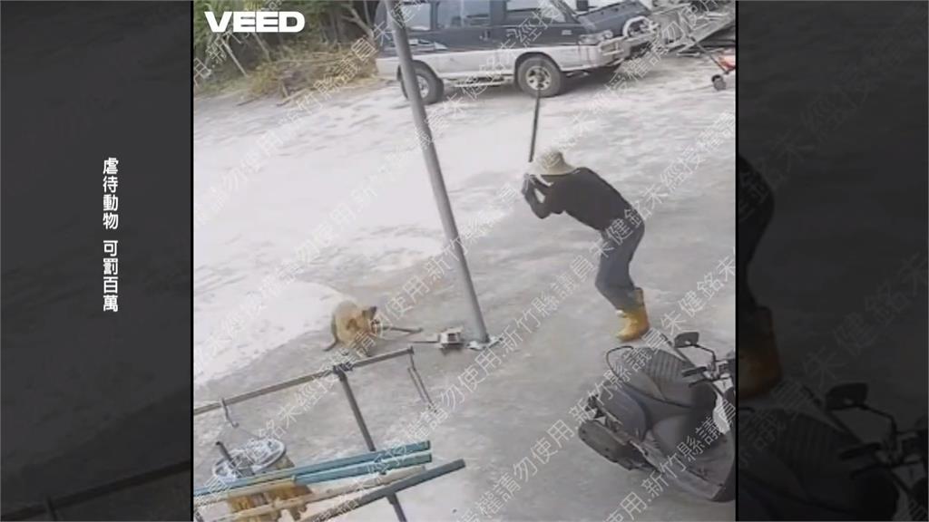 惡劣!男持棍棒打毛小孩虐狗 因懷疑西瓜遭狗踩壞