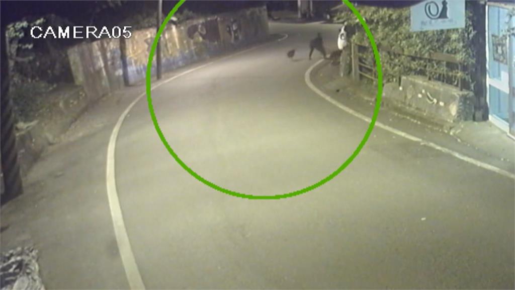 花蓮惡犬"攻擊男童.咬死鄰居愛貓" 動保處週二稽查