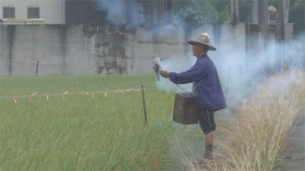 敲完鐵桶放沖天炮趕麻雀! 居民抱怨噪音擾民 農民無奈「這樣說」