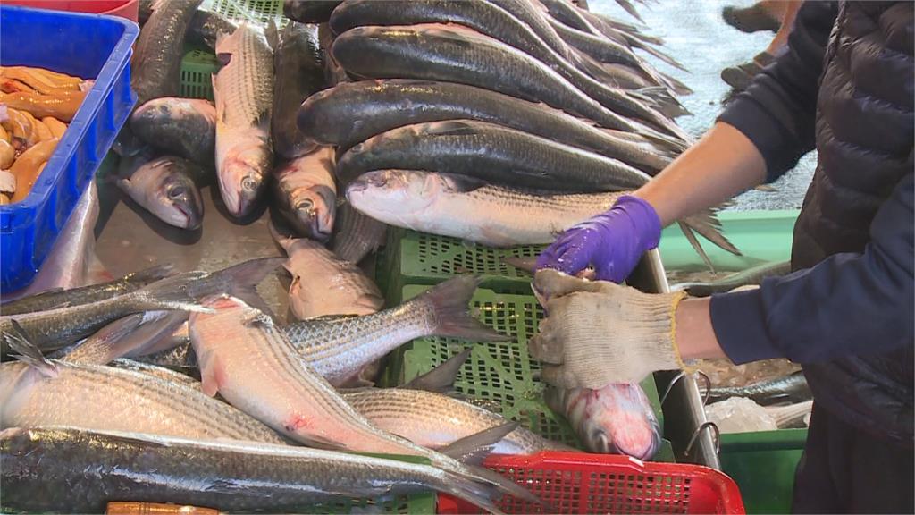 大發「黑金」財！　船長捕獲9千多尾烏魚獲利400萬