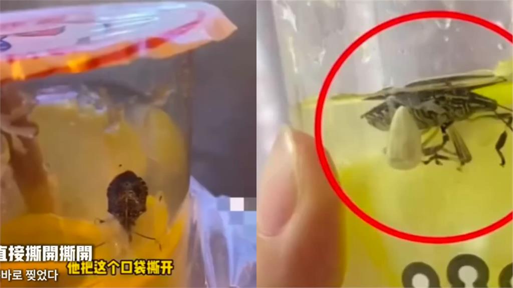 她敲碗中國「8.5元霜淇淋」來台展店!網揪「1疑點」嘆:愛吃就搬過去