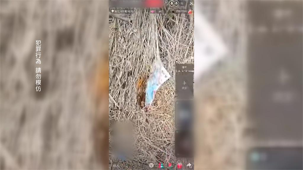 男開直播"公墓點火"自稱搜救隊 台中消防駁:非義消