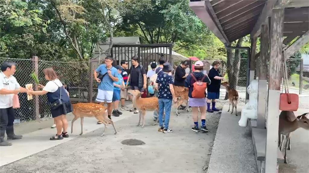 中秋連假國旅人潮爆！飯店住房率最高在這裡