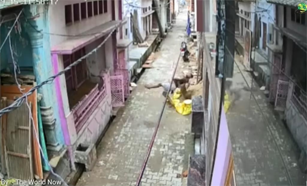 街頭上演「人猴大戰」！印度男追猴子失敗慘被「過肩摔」糗爆過程曝光