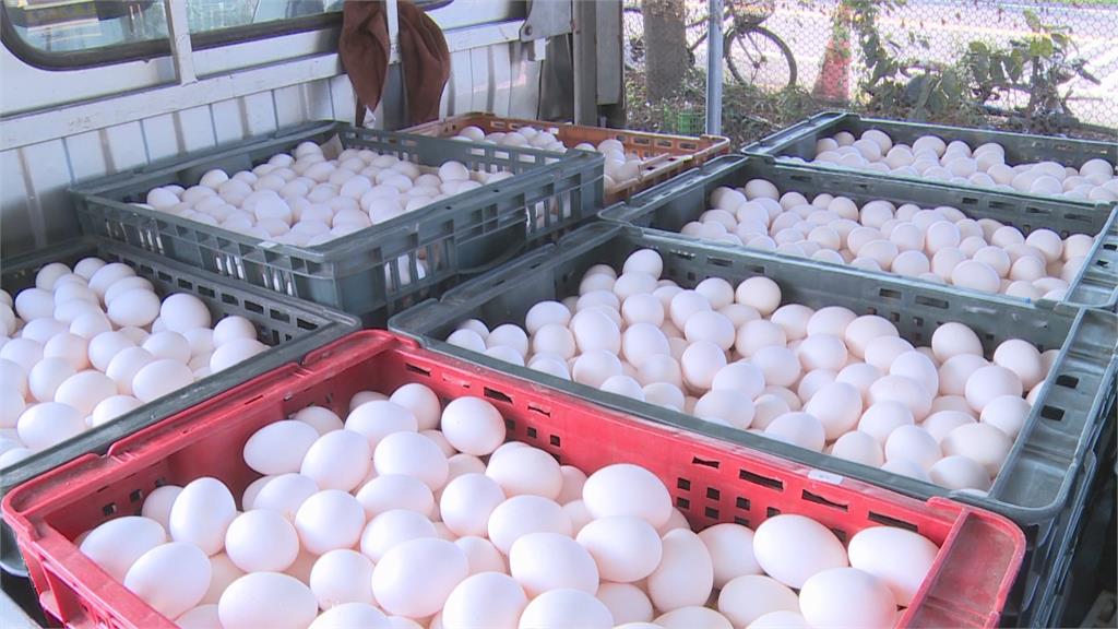 外國進口蛋陸續補足缺口　蛋供應估3月中穩定