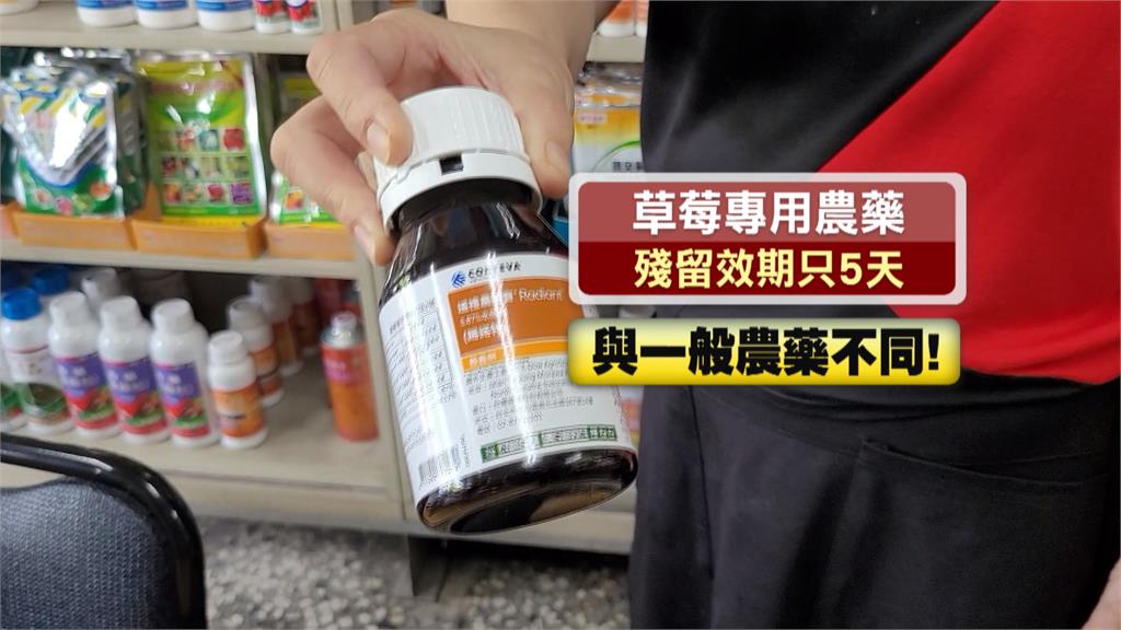 破除迷思!苗栗大湖草莓絕對安全 用藥、定期抽檢符合規範