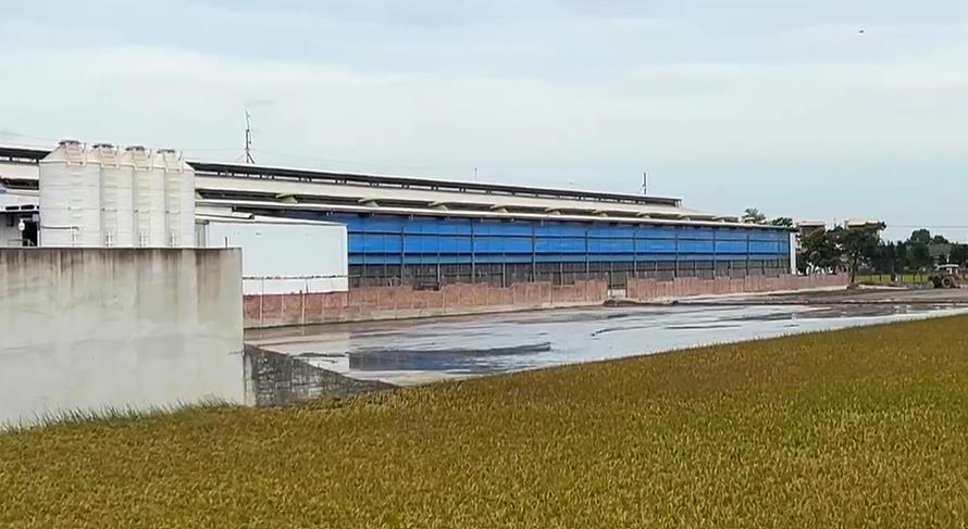 彰化15萬顆雞蛋芬普尼超標　排除案場污染！將朝「這方向」追查