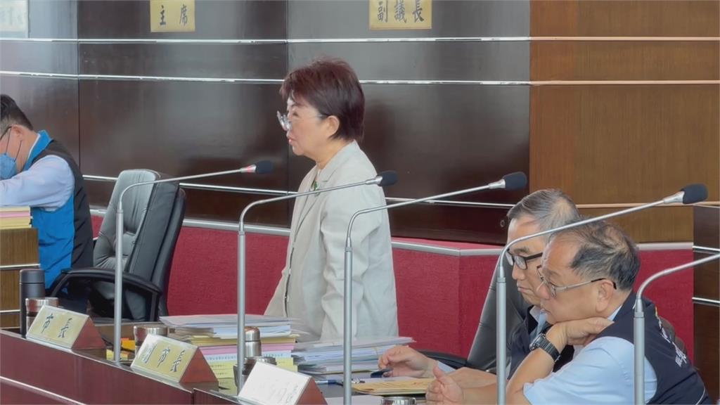 追盧秀燕軍購立場! 綠議員轟大玩「兩面手法」