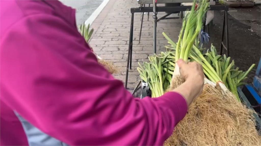 菜都爛了! 連日大雨緊接豔陽 雲林葉菜類價格翻倍
