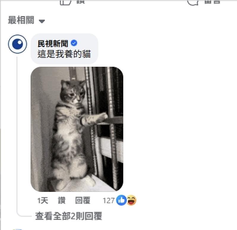 國台辦「翻牆」開臉書遭酸爆!民視小編火力全開「貓狗豬哏圖」輪番開戰