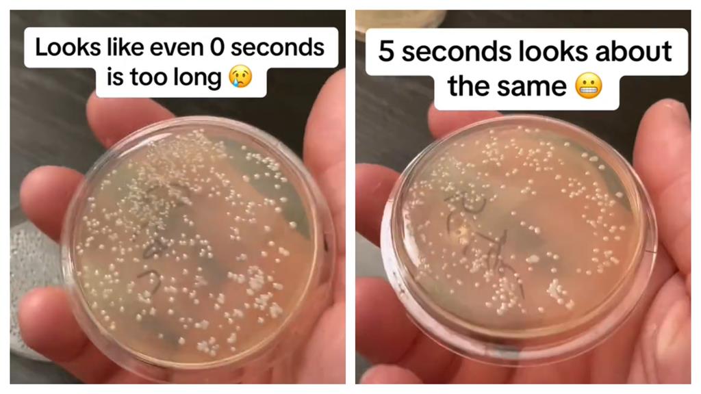 從小相信的「5秒規則」被打臉!專家實測打臉:掉地秒變細菌溫床