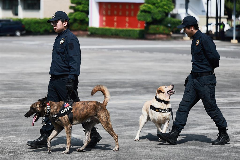 快新聞／超萌！「毛英雄」國慶亮相警犬大集合　緝毒偵爆、災區救人